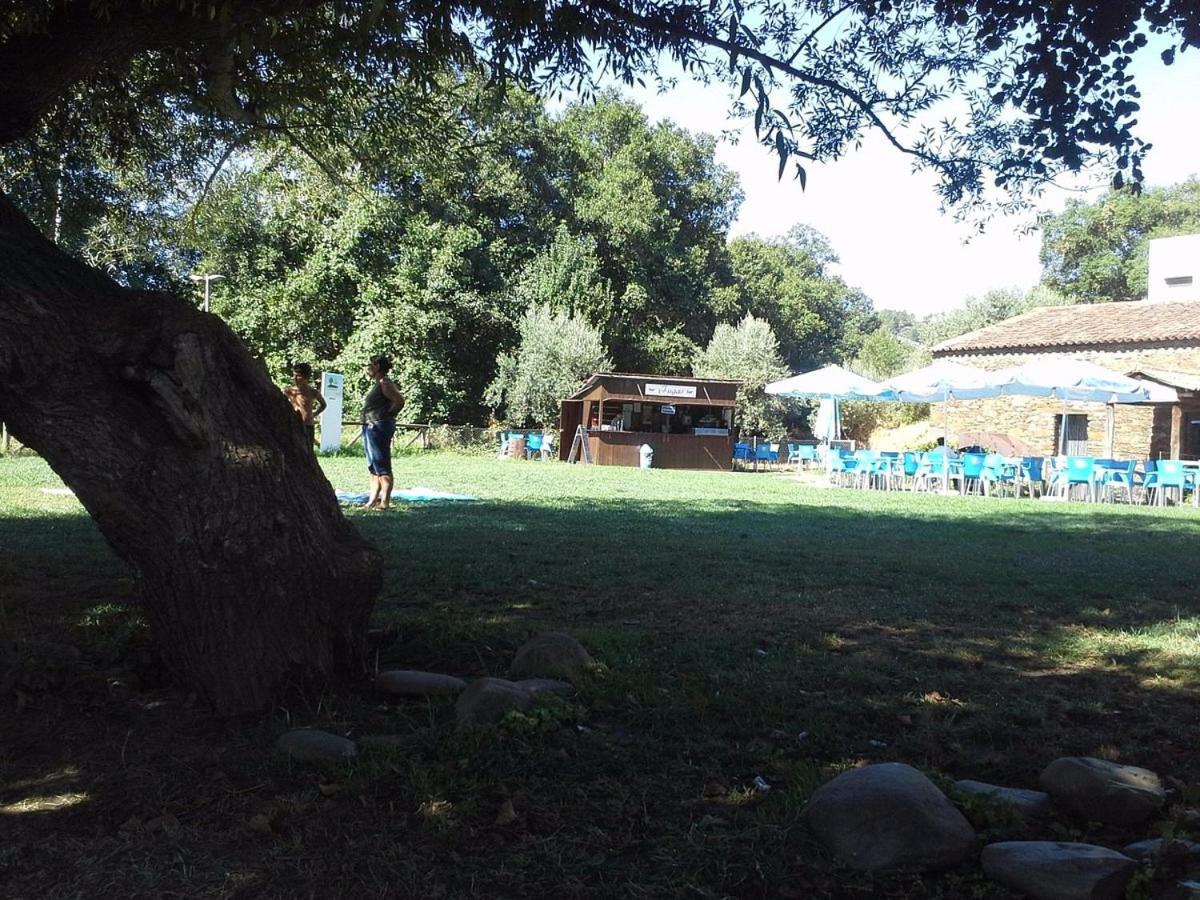 Zen Guest House Em Leiria ペドローガン・グランデ エクステリア 写真